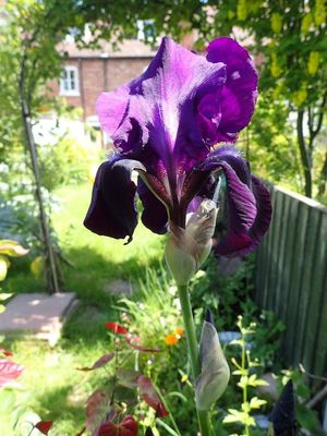 Photo 28- click for photo gallery